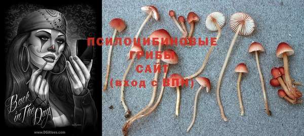 прущий лед Абдулино