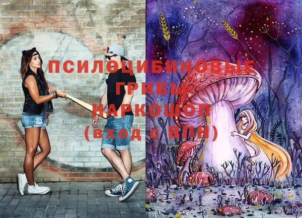 наркотики Абаза